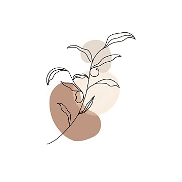 aestheticlogo